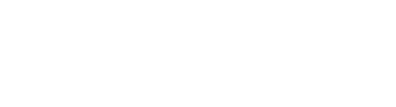 www.hansgoessing.com